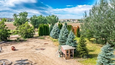 SELLER MOTIVATED. Rare 45-acre property in Bloomfield featuring - photo 11