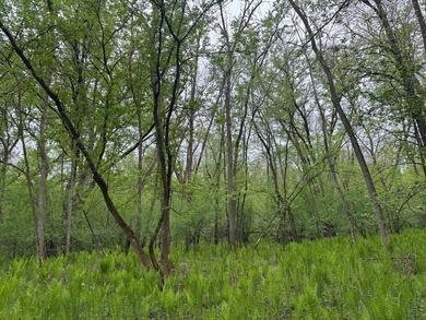 Beautiful 15-acre wooded property along the Rum River featuring - photo 12