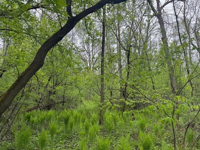 Beautiful 15-acre wooded property along the Rum River featuring - photo 13