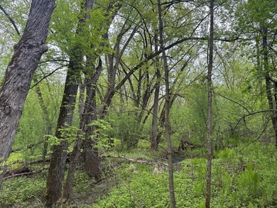Beautiful 15-acre wooded property along the Rum River featuring - photo 14