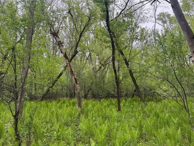 Beautiful 15-acre wooded property along the Rum River featuring - photo 15