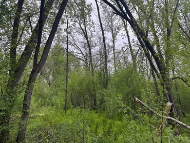 Beautiful 15-acre wooded property along the Rum River featuring - photo 18