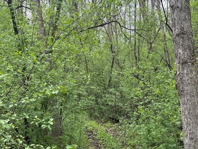 Beautiful 15-acre wooded property along the Rum River featuring - photo 19