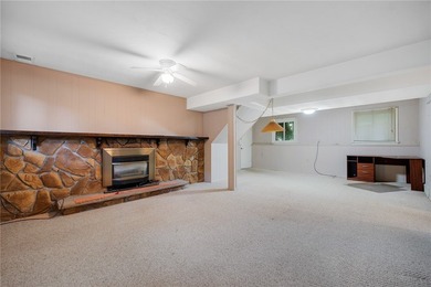 Originally featured as part of Rochester's Homarama Home Show - photo 20