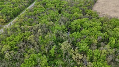 Beautiful 15-acre wooded property along the Rum River featuring - photo 24