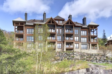 Lake Home For Sale in Mont-Tremblant, 