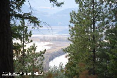 St. Joe River Acreage For Sale in Saint Maries Idaho