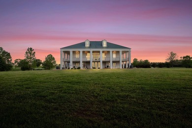 Welcome to one of West Lowndes County's most remarkable estates - photo 1