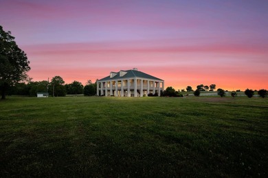 Welcome to one of West Lowndes County's most remarkable estates - photo 9