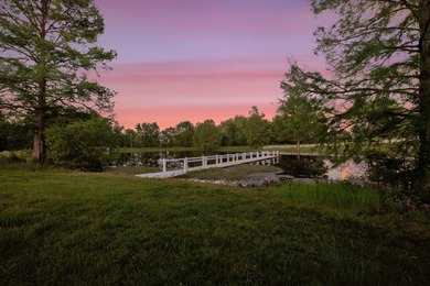 Welcome to one of West Lowndes County's most remarkable estates - photo 10