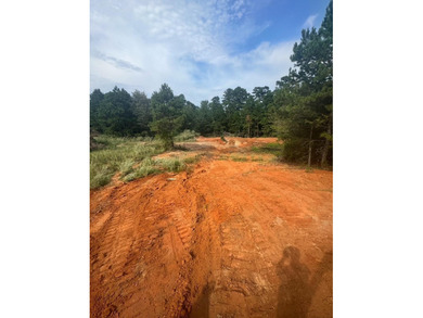 (private lake, pond, coastal) Acreage For Sale in Big Sandy Texas