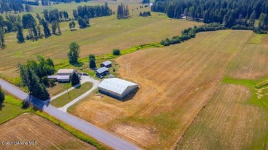Spectacular views of Schweitzer Mountain from this 20 acre farm - photo 3