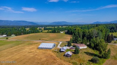 Spectacular views of Schweitzer Mountain from this 20 acre farm - photo 10