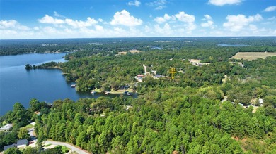 Never leave the lake again! Snatch up this opportunity to play - photo 25
