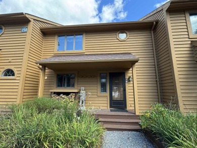 (private lake, pond, creek) Townhome/Townhouse For Sale in Davis West Virginia