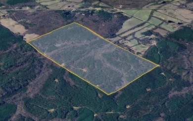 Lake Acreage For Sale in Paris, Mississippi