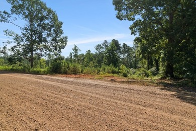 OXFORD MS LAND!! APPROX 320 ACRES IN LAFAYETTE COUNTY WITH - photo 3