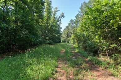 OXFORD MS LAND!! APPROX 320 ACRES IN LAFAYETTE COUNTY WITH - photo 5