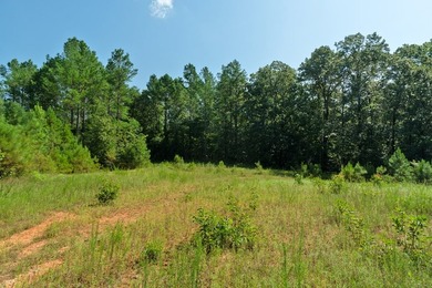 OXFORD MS LAND!! APPROX 320 ACRES IN LAFAYETTE COUNTY WITH - photo 6