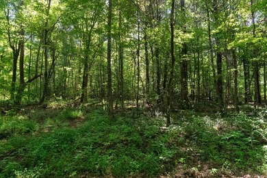 OXFORD MS LAND!! APPROX 320 ACRES IN LAFAYETTE COUNTY WITH - photo 7