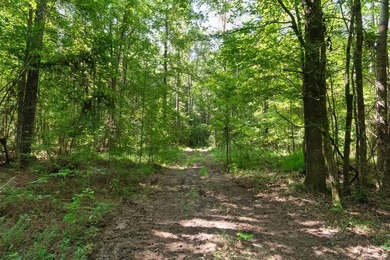 OXFORD MS LAND!! APPROX 320 ACRES IN LAFAYETTE COUNTY WITH - photo 9
