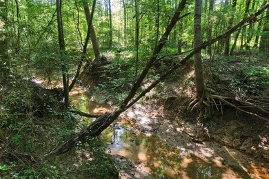 OXFORD MS LAND!! APPROX 320 ACRES IN LAFAYETTE COUNTY WITH - photo 10