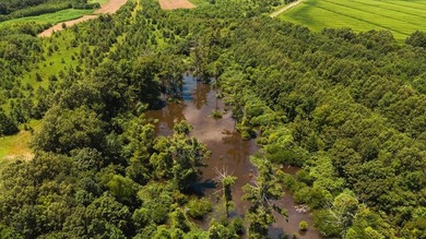 (private lake, pond, creek) Acreage For Sale in  Mississippi
