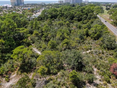 7 Acres in the Heart of Panama City Beach located across from - photo 15