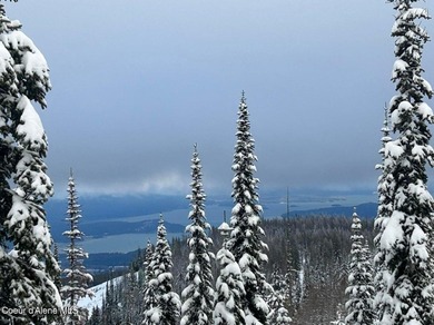 Lake Pend Oreille Lot For Sale in Sandpoint Idaho