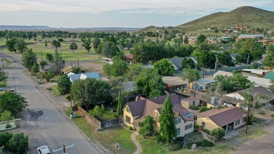 Built in 1920, this historic 2 story home offers 3,011 sqft of - photo 9