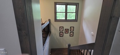 Nestled in the Mountains of East TN and overlooking Watauga Lake - photo 48