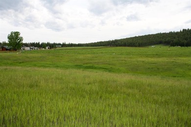 Lake Koocanusa Acreage For Sale in Rexford Montana