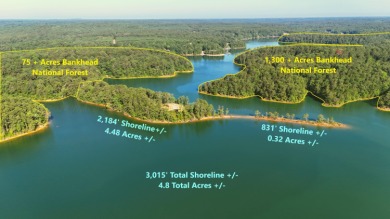 Smith Lake - Unleash your creativity on this One-of-a-kind - photo 3