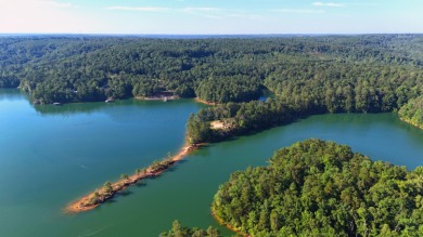 Smith Lake - Unleash your creativity on this One-of-a-kind - photo 4