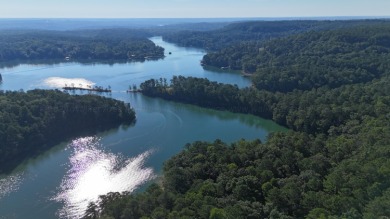 Smith Lake - Unleash your creativity on this One-of-a-kind - photo 7