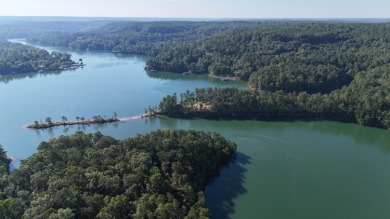 Smith Lake - Unleash your creativity on this One-of-a-kind - photo 8