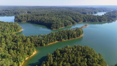 Smith Lake - Unleash your creativity on this One-of-a-kind - photo 9