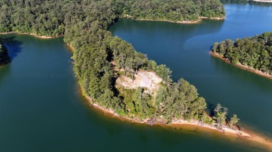 Smith Lake - Unleash your creativity on this One-of-a-kind - photo 10