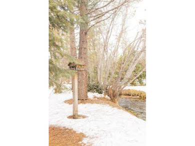 Escape to your private retreat on Hat Creek, just minutes from - photo 4