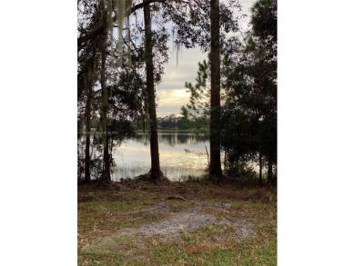 Lake Karnes Lot For Sale in Deltona Florida