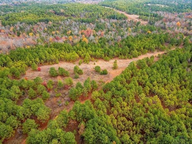 Gorgeous property with endless potential! 172 + acres up on the - photo 12