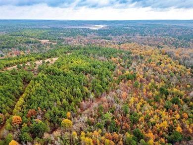 Gorgeous property with endless potential! 172 + acres up on the - photo 13