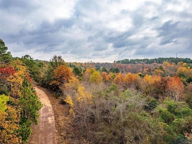 Gorgeous property with endless potential! 172 + acres up on the - photo 14