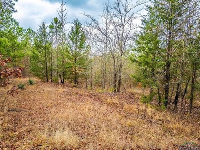 Gorgeous property with endless potential! 172 + acres up on the - photo 15