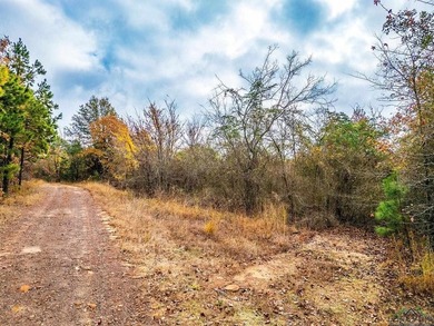 Gorgeous property with endless potential! 172 + acres up on the - photo 16