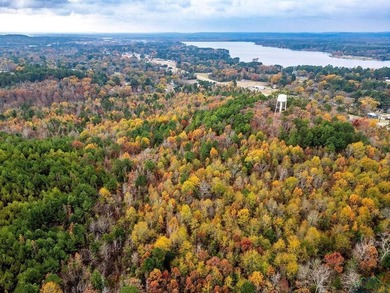 Gorgeous property with endless potential! 172 + acres up on the - photo 17