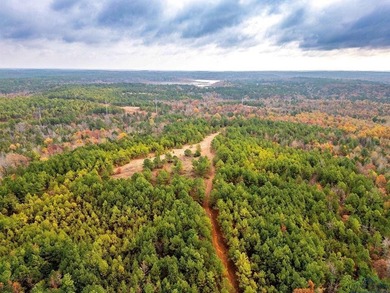 Gorgeous property with endless potential! 172 + acres up on the - photo 18