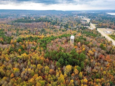 Gorgeous property with endless potential! 172 + acres up on the - photo 20