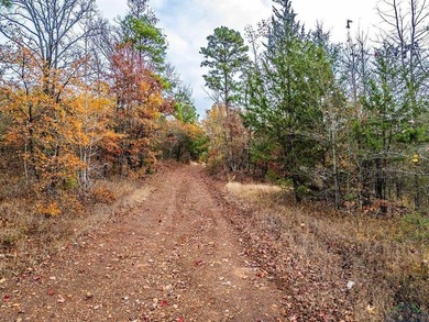 Gorgeous property with endless potential! 172 + acres up on the - photo 22