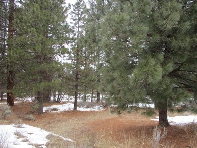 Residential Lot in Gorgeous Latakomie Shores Subdivision, Septic - photo 3